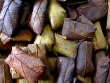 ತುಳುನಾಡ ಆಟಿ ಸ್ಪೆಷಲ್: ಪೆಲಕ್ಕಾಯಿ ಗಟ್ಟಿ/ ಹಲಸಿನ ಹಣ್ಣಿನ ಕಡಬು ರೆಸಿಪಿ