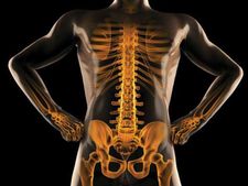 ಆರೋಗ್ಯಕರ ಮೂಳೆಗಾಗಿ ನೀವು ತಪ್ಪದೇ ಸೇವಿಸಲೇಬೇಕಾದ ಆಹಾರಗಳು ಇಲ್ಲಿವೆ 