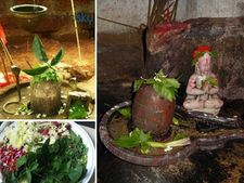 ಶಿವನಿಗೆ ಬಿಲ್ವೆ ಪತ್ರೆಗಳನ್ನು ಅರ್ಪಿಸುವುದೇಕೆ? ಇದರ ಮಹತ್ವವೇನು ಗೊತ್ತೇ?