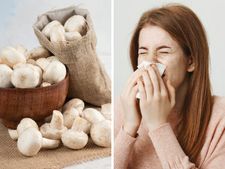 ನಿಮಗೂ ಮಶ್ರೂಮ್‌ ಅಲರ್ಜಿ ಇದೆಯೇ? ಇರಲಿ ಎಚ್ಚರ!