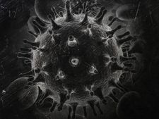 ಬೆಂಗಳೂರು, ಮುಂಬಯಿಯಲ್ಲಿ ಹೆಚ್ಚಾಗುತ್ತಿದೆ ಬ್ಲ್ಯಾಕ್‌ ಫಂಗಸ್, ಯಾರಿಗೆ ಅಪಾಯ, ಮುನ್ನೆಚ್ಚರಿಕೆ ಕ್ರಮಗಳೇನು?