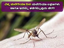 ವಿಶ್ವ ಮಲೇರಿಯಾ ದಿನ 2022: ಮಲೇರಿಯಾ ಇರುವ ಕಡೆ ಹೋಗುವಾಗ ಈ ಮುನ್ನೆಚ್ಚರಿಕೆವಹಿಸಿ