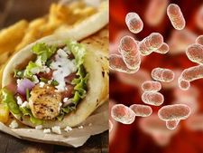 ಕೇರಳ ಯುವತಿಯ ಪ್ರಾಣಕ್ಕೆ ಕುತ್ತಾದ ಶವರ್ಮಾದಲ್ಲಿದ್ದ ಶಿಗೆಲ್ಲಾ, ಇದು ವೆಜ್‌ ಆಹಾರಗಳಲ್ಲಿಯೂ ಇರುತ್ತದೆಯೇ?