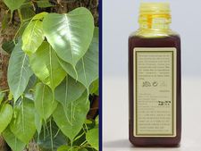 Beauty tips: ಕೇರಳಿಗರ ಹೊಳೆಯುವ ತ್ವಚೆಯ ಸೀಕ್ರೆಟ್‌ ನಲ್ಪಮರಡಿ ತೈಲದ ಬಗ್ಗೆ ನಿಮಗೆಷ್ಟು ಗೊತ್ತು? 