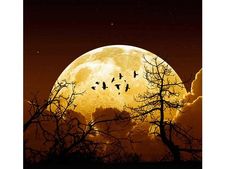 ಜುಲೈ 13ಕ್ಕೆ ಸೂಪರ್‌ಮೂನ್‌: ಈ ದಿನ ಸಮುದ್ರ ಬಳಿ ಹೋಗುವಾಗ ಜಾಗ್ರತೆ!