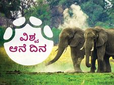 ವಿಶ್ವ ಆನೆ ದಿನ 2022: ಆನೆಗಳ ಕುರಿತ ಈ  ಆಸಕ್ತಿಕರ ಸಂಗತಿಗಳು  ಗೊತ್ತಿದೆಯೇ?