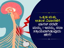 ಒತ್ತಡ ಮತ್ತು ಆತಂಕ ನಿವಾರಣೆಗೆ ವಾಗಸ್‌ ನರವೇ ಮದ್ದು! ಇದನ್ನು ಸದಾ ಸಕ್ರಿಯವಾಗಿಡುವುದು ಹೇಗೆ?