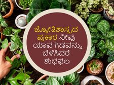 Astrology tips: ನಿಮ್ಮ ರಾಶಿಚಕ್ರದ ಪ್ರಕಾರ ನೀವು ಯಾವ ಗಿಡವನ್ನು ಬೆಳೆಸಿದರೆ ಶುಭಫಲ