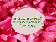 ಗುಲಾಬಿ ದಳ ಹೀಗೆ ಬಳಸಿದರೆ ಮುಖದ ಅಂದ ಹೆಚ್ಚುತ್ತೆ, ಮೊಡವೆನೂ ಇರಲ್ಲ