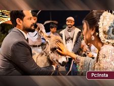 ಮದುಮಗಳಿಗೆ ಕತ್ತೆ ಗಿಫ್ಟ್ ನೀಡಿದ  ಮದುಮಗ, ಇದಕ್ಕೆ ಕಾರಣವೂ ಇದೆ: ವೈರಲ್ ವೀಡಿಯೋ    ಮದುಮಗಳಿಗೆ ಕತ್ತೆ ಗಿಫ್ಟ್ ನೀಡಿದ  ಮದುಮಗ, 