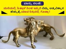 ವಾಸ್ತು ಸಲಹೆ: ಮನೆಯಲ್ಲಿ ಹಿತ್ತಾಳೆ ಸಿಂಹ ಇಟ್ಟರೆ ನಿಮ್ಮ ಆತ್ಮವಿಶ್ವಾಸ ಹೆಚ್ಚುತ್ತೆ, ಯಾವ ದಿಕ್ಕಿನಲ್ಲಿ ಗೊತ್ತಾ? 