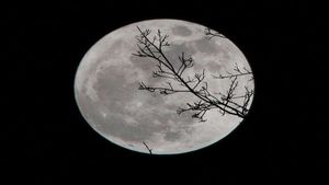 ಚಂದ್ರ ದೋಷವಿದೆಯೇ? ಲಾಲ್‌ ಕಿತಾಬ್‌ ಶಾಸ್ತ್ರದಲ್ಲಿ  ಹೇಳಲಾಗಿರುವ ಈ ಪರಿಹಾರ ಮಾಡಿ