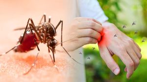 ವಿಶ್ವ ಮಲೇರಿಯಾ ದಿನ 2023: ಮಲೇರಿಯಾ ತಡೆಗಟ್ಟಲು ಸೊಳ್ಳೆ ಕಚ್ಚದಂತೆ  ತಡೆಗಟ್ಟುವುದು ಹೇಗೆ? 