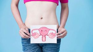 Myths Vs Facts : ಅಂಡಾಶಯದ ಕ್ಯಾನ್ಸರ್ ಗೆ ಸಂಬಂಧಿಸಿದಂತೆ ಮಹಿಳೆಯರಲ್ಲಿರುವ ತಪ್ಪು ಕಲ್ಪನೆಗಳು! 