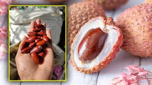 ಮಧುಮೇಹ ಸೇರಿ ಹಲವು ಕಾಯಿಲೆ ತಡೆಗಟ್ಟುತ್ತೆ ಲಿಚಿ ಬೀಜ, ಹೇಗೆ ಬಳಸಬೇಕು?