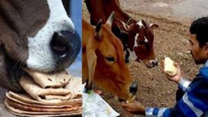 ನಿತ್ಯ ಹಸುವಿಗೆ ಆಹಾರ ನೀಡಿದರೆ ನವಗ್ರಹ ದೋಷದಿಂದ ಮುಕ್ತಿ ಸಿಗಲಿದೆ!