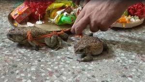 ಮಳೆಗಾಗಿ ಭಾರತದಲ್ಲಿ ಆಚರಿಸುವ ಚಿತ್ರ-ವಿಚಿತ್ರವಾದ ಪದ್ಧತಿಗಳಿವು