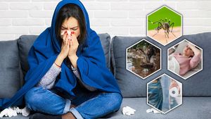 ಕರ್ನಾಟಕಕ್ಕೆ ಮುಂಗಾರಿನ ಆಗಮನ: ಈ 7 ಅಪಾಯಕಾರಿ ಕಾಯಿಲೆಗಳ ಇರಲಿ ಜಾಗ್ರತೆ