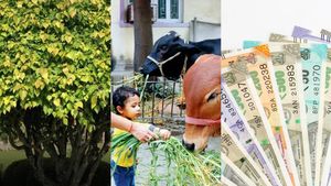 ಸಿಕ್ಕಾಪಟ್ಟೆ ಸಾಲ ಆಗಿದ್ಯಾ? ಹಾಗಾದ್ರೆ ಈ ಪರಿಹಾರಗಳನ್ನು ಮಾಡಿ! 