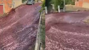 ರಸ್ತೆಯಲ್ಲಿ ಹರಿದ ಕೆಂಪು ವೈನ್‌ನ ಹೊಳೆ:  ವೈನ್‌ ಪ್ರಿಯರಿಗೆ ಸಂಕಟ ತಂದ ವೀಡಿಯೋ ವೈರಲ್‌