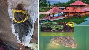 ಪವಾಡ: ಅನಂತ ಪದ್ಮನಾಭ ದೇವಾಲಯ ಕೊಳದಲ್ಲಿ ದೇವರ ಮೊಸಳೆ ಬಬಿಯಾ ಸ್ಥಾನ ತುಂಬಲು ಬಂದಿದೆ ಮರಿ ಮೊಸಳೆ!