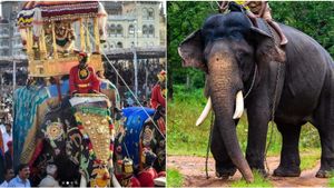 8 ಬಾರಿ ಅಂಬಾರಿ ಹೊತ್ತ ಅರ್ಜುನ ಇನ್ನಿಲ್ಲ: ಬದುಕಿದ್ದಾಗ ರಾಜನಂತೆ ಮೆರೆದ,  ಸತ್ತಾಗ ಮಾವುತನ ರಕ್ಷಿಸಿ ವೀರ ಮರಣವನ್ನಪ್ಪಿದ