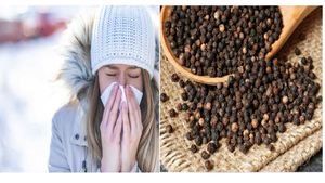 ಚಳಿಗಾಲ:  ಸಾಮಾನ್ಯ ಶೀತ ತಡೆಗಟ್ಟಲು ಕಾಳುಮೆಣಸು ಹೇಗೆ ಬಳಸಬೇಕು? ಯಾರಿಗೆ ಕಾಳುಮೆಣಸು ಒಳ್ಳೆಯದಲ್ಲ