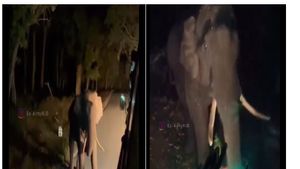 ವೈರಲ್: ಶಬರಿಮಲೆಗೆ  ತೆರಳುತ್ತಿದ್ದ ಭಕ್ತರ ಬಸ್‌ಗೆ ಅಡ್ಡವಾದ ಕಾಡಾನೆ, ಅದರ ವರ್ತನೆ ನೋಡಿದವರು ಅಯ್ಯಪ್ಪನ ಪವಾಡ ಅಂತಿದ್ದಾರೆ