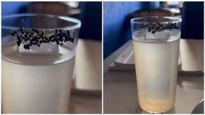 ವಿಚಿತ್ರ ಆಹಾರ..ಕಪ್ಪು ಇರುವೆಯ ಕಾಕ್‌ಟೈಲ್‌ ಸೇವಿಸಿದ ವ್ಯಕ್ತಿ..! 