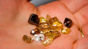 ಸುತ್ತಾಡಲು ಬಂದವರಿಗೆಲ್ಲ ಸಿಗುತ್ತಿವೆ ವಜ್ರಗಳು..! ಒಂದೇ ಪಾರ್ಕ್‌ನಲ್ಲಿ 798 ಡೈಮಂಡ್ ಪತ್ತೆ..!