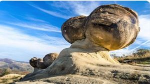 ವಿಜ್ಞಾನಕ್ಕೊಂದು ಸವಾಲು: ಬೆಳೆಯುತ್ತಿವೆ, ಚಲಿಸುತ್ತಿವೆ, ಉಸಿರಾಡುತ್ತೆ ಈ ಬಂಡೆಗಳು..!!