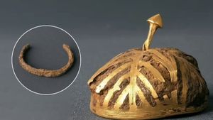 1963ರಲ್ಲಿ ಪತ್ತೆಯಾದ ನಿಧಿಯಲ್ಲಿ 'ಅನ್ಯಗ್ರಹದ ಲೋಹ' ಪತ್ತೆ..! ಅಧ್ಯಯನದಲ್ಲಿ ಬಹಿರಂಗ