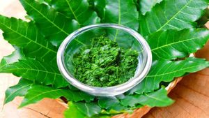 ಚರ್ಮದ ಆರೋಗ್ಯಕ್ಕೆ ಬೇವಿನಲ್ಲಿದೆ ಅತ್ಯುತ್ತಮ ಪರಿಹಾರ..! ಎಷ್ಟೆಲ್ಲಾ ಪ್ರಯೋಜನವಿದೆ ಗೊತ್ತಾ?