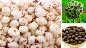 ಕಮಲದ ಬೀಜಗಳಲ್ಲಿ ಎಷ್ಟೆಲ್ಲಾ ಆರೋಗ್ಯ ಅಡಗಿದೆ ಗೊತ್ತಾ..! ತಿಳಿದರೆ ನಿಮಗೂ ಅಚ್ಚರಿ ಆಗುತ್ತೆ