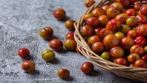 ಬೋರೆ ಹಣ್ಣಿನ ಪ್ರಯೋಜನ ಗೊತ್ತಾ..? ದೇಹಕ್ಕಿದು ಅಮೃತವಿದ್ದಂತೆ..!