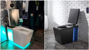 ₹20 ಲಕ್ಷದ ಟಾಯ್ಲೆಟ್ ಕಮೋಡ್‌ ಇದು..! ವಿಶೇಷ ಕೇಳಿದ್ರೆ ಶಾಕ್ ಆಗ್ತಿರಾ..!