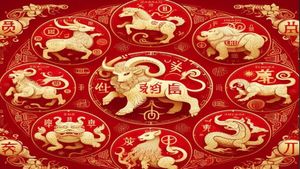 ಚೈನೀಸ್ ರಾಶಿ ಚಿಹ್ನೆಗಳು: ನೀವು ಯಾವ ಪ್ರಾಣಿ ಮತ್ತು ನಿಮ್ಮ ವ್ಯಕ್ತಿತ್ವದ ಬಗ್ಗೆ ಏನು ಹೇಳುತ್ತೆ ಗೊತ್ತಾ?