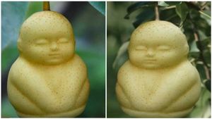 ವಿಶ್ವದ ದುಬಾರಿ ಹಣ್ಣುಗಳಿವು..! ನೀವು ಊಹಿಸದ ಬೆಲೆ ಈ ಹಣ್ಣುಗಳಿಗಿದೆ..!