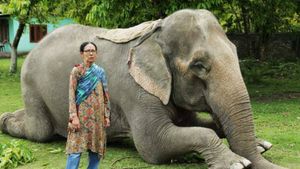 ಆನೆಯನ್ನೇ ಪಳಗಿಸುವ ಮಹಿಳೆ ಈಕೆ..! ಇದು ದೇಶದ ಏಕೈಕ ಮಹಿಳಾ ಮಾವುತ ಕಥೆ..!