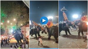 ದೇವಸ್ಥಾನದ ಜಾತ್ರೆ ವೇಳೆ ಆನೆಗಳ ಕಾಳಗ..! ದಿಕ್ಕಾಪಾಲಾಗಿ ಓಡಿದ ಭಕ್ತರು..!