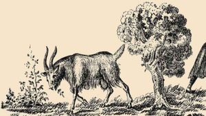 5 ಸೆಕೆಂಡ್‌ನಲ್ಲಿ ಈ ಚಿತ್ರದಲ್ಲಿರುವ ಮೇಕೆ ಮಾಲೀಕನ ಹುಡುಕಿ..! ಎಲ್ಲಿದ್ದಾನೆ ಗೊತ್ತಾ?