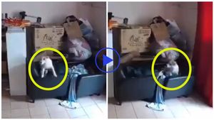 ಭೂಕಂಪ ಮೊದಲೇ ಗ್ರಹಿಸಿದ ನಾಯಿ..! ಅಚ್ಚರಿಯ ವಿಡಿಯೋ ವೈರಲ್