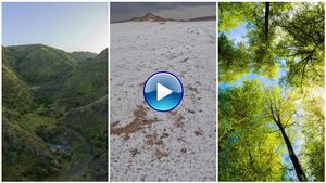 ಸೌದಿಯಲ್ಲಿ ಮಳೆ, ಪ್ರವಾಹ...ಮರುಭೂಮಿ ಮರೆಯಾಗಿ ನಳನಳಿಸುವ ಹಸಿರು...! ಇದು ಹೇಗೆ ಸಾಧ್ಯ ಗೊತ್ತಾ?