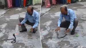 ಹಾವನ್ನು ಚಿಟಿಕೆ ಹೊಡೆದಂತೆ ಡಬ್ಬದಲ್ಲಿ ತುಂಬಿದ ವ್ಯಕ್ತಿಯ ಕೌಶಲ್ಯಕ್ಕೆ ಜನರು ಫಿದಾ: 17 ಮಿಲಿಯನ್‌ಗೂ ಅಧಿಕ  ವ್ಯೂವ್ಸ್ ಪಡೆದ ವೀಡಿ