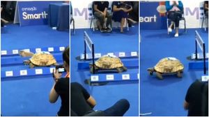 ಮೊಲದ ಜೊತೆ ಓಡಿ ಮತ್ತೊಮ್ಮೆ ರೇಸ್ ಗೆದ್ದ ಆಮೆ..! ಈ ಕಥೆ ನಿಜವಾಗಿದ್ದು ಹೇಗೆ ನೋಡಿ.!