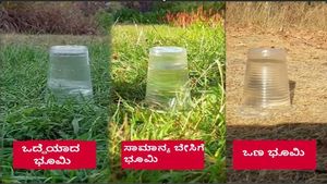 ಪ್ರವಾಹಕ್ಕೆ ಕಾರಣವಾಗೋದು ಮಳೆಯಲ್ಲ ಬೇಸಿಗೆಯ ಬಿಸಿಲು..! ನಂಬಲು ಸಾಧ್ಯವಿಲ್ಲ ಅಂದ್ರೆ ಈ ವಿಡಿಯೋ ನೋಡಿ..!