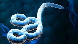 ಲ್ಯಾಬ್‌ನಲ್ಲಿ ಅಪಾಯಕಾರಿ ವೈರಸ್ ಸೃಷ್ಟಿಸಿದ ಚೀನಾ..!