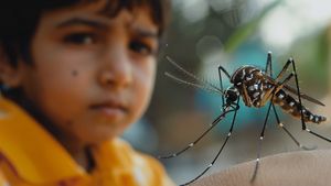 ಡೆಂಗ್ಯೂವಿನಿಂದ  ಮಕ್ಕಳ ರಕ್ಷಣೆಗೆ  ಹೀಗೆ  ಮುನ್ನೆಚ್ಚರಿಕೆವಹಿಸಬೇಕು: ಮಕ್ಕಳ ತಜ್ಞೆ ಶಿಲ್ಪಾ ಪಾಂಡ್ಯ