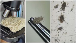 ಈ ವಿಡಿಯೋ ನೋಡಿದ್ರೆ ನೂಡಲ್ಸ್ ತಿನ್ನೋದನ್ನೇ ಬಿಡುತ್ತೀರಿ..!!