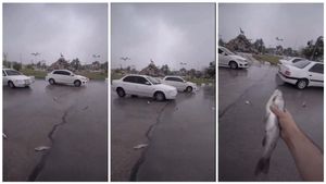 ಆಕಾಶದಿಂದ ಬಿದ್ದವು ಮೀನುಗಳು...! ಮೀನಿನ ಮಳೆ ವಿಡಿಯೋ ವೈರಲ್